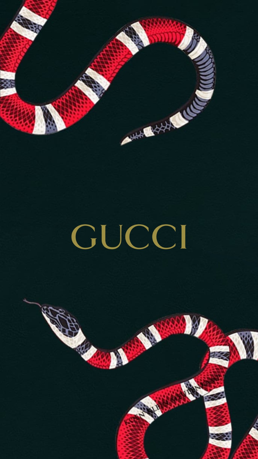 最も選択された Gucci スネーク 壁紙 無料壁紙のベストギャラリー