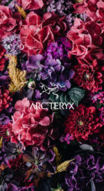 arcteryx31 150x275 - ARC'TERYX/アークテリクスの無料高画質スマホ壁紙50枚 [iPhone＆Androidに対応]