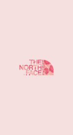 thenorthface26 150x275 - THE NORTH FACE /ザ・ノース・フェイスのおしゃれな無料高画質スマホ壁紙51枚 [iPhone＆Androidに対応]