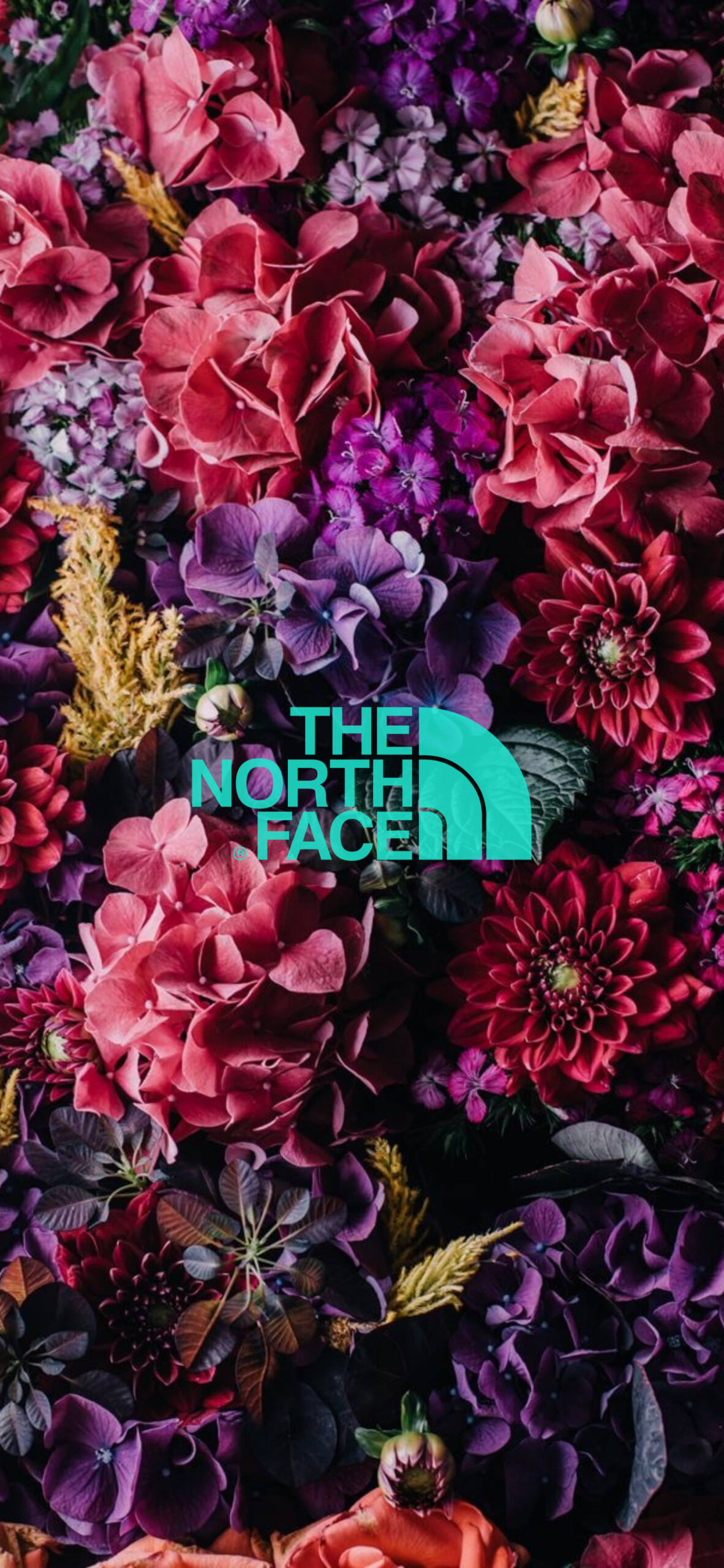 The North Face ザ ノース フェイスのおしゃれな無料高画質スマホ壁紙51枚 エモい スマホ壁紙辞典