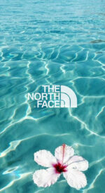 thenorthface46 150x275 - THE NORTH FACE /ザ・ノース・フェイスのおしゃれな無料高画質スマホ壁紙51枚 [iPhone＆Androidに対応]