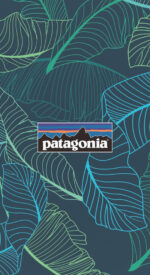 patagonia25 150x275 - patagonia/パタゴニアのおしゃれな無料高画質スマホ壁紙82枚 [iPhone＆Androidに対応]