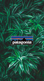patagonia30 150x275 - patagonia/パタゴニアのおしゃれな無料高画質スマホ壁紙82枚 [iPhone＆Androidに対応]