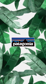 patagonia32 150x275 - patagonia/パタゴニアのおしゃれな無料高画質スマホ壁紙82枚 [iPhone＆Androidに対応]
