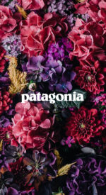 patagonia51 150x275 - patagonia/パタゴニアのおしゃれな無料高画質スマホ壁紙82枚 [iPhone＆Androidに対応]