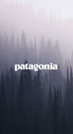 patagonia60 150x275 - patagonia/パタゴニアのおしゃれな無料高画質スマホ壁紙82枚 [iPhone＆Androidに対応]