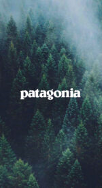 patagonia61 150x275 - patagonia/パタゴニアのおしゃれな無料高画質スマホ壁紙82枚 [iPhone＆Androidに対応]