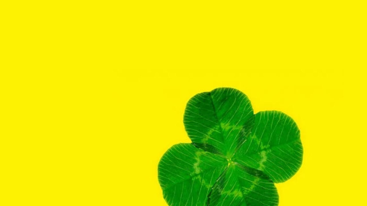四つ葉のクローバーの無料高画質スマホ壁紙26枚 エモい スマホ壁紙辞典