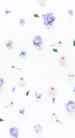floral03 150x275 - おしゃれな花柄の無料高画質スマホ壁紙115枚 [iPhone＆Androidに対応]