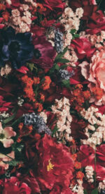 floral18 150x275 - おしゃれな花柄の無料高画質スマホ壁紙115枚 [iPhone＆Androidに対応]