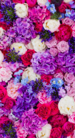 floral81 150x275 - おしゃれな花柄の無料高画質スマホ壁紙115枚 [iPhone＆Androidに対応]