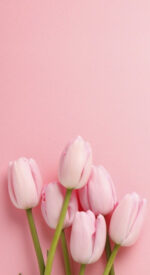 floral83 150x275 - おしゃれな花柄の無料高画質スマホ壁紙115枚 [iPhone＆Androidに対応]