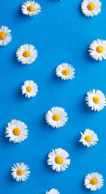 floral85 150x275 - おしゃれな花柄の無料高画質スマホ壁紙115枚 [iPhone＆Androidに対応]