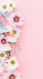 floral86 150x275 - おしゃれな花柄の無料高画質スマホ壁紙115枚 [iPhone＆Androidに対応]