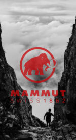 mammut13 150x275 - マムートの無料高画質スマホ壁紙14枚 [iPhone＆Androidに対応]