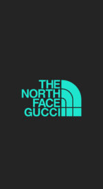 northgucci15 150x275 - THE NORTH FACE X GUCCIの無料高画質スマホ壁紙23枚 [iPhone＆Androidに対応]