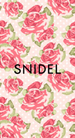 snidel60 150x275 - スナイデル/SNIDELの無料高画質スマホ壁紙61枚 [iPhone＆Androidに対応]