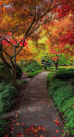 autumnleaves02 150x275 - 美しい紅葉の無料高画質スマホ壁紙24枚 [iPhone＆Androidに対応]