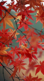 autumnleaves03 150x275 - 美しい紅葉の無料高画質スマホ壁紙24枚 [iPhone＆Androidに対応]