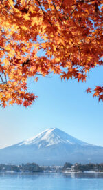 autumnleaves08 150x275 - 美しい紅葉の無料高画質スマホ壁紙24枚 [iPhone＆Androidに対応]