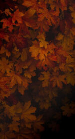 autumnleaves11 150x275 - 美しい紅葉の無料高画質スマホ壁紙24枚 [iPhone＆Androidに対応]