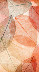 autumnleaves18 150x275 - 美しい紅葉の無料高画質スマホ壁紙24枚 [iPhone＆Androidに対応]