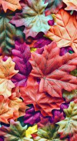 autumnleaves19 150x275 - 美しい紅葉の無料高画質スマホ壁紙24枚 [iPhone＆Androidに対応]